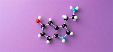 Serotonina O Que E Para Que Serve Blog Clique Bem Estar