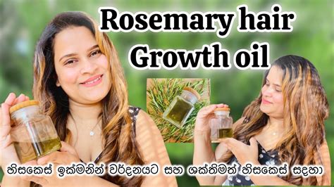 Rosemary Oil For Hair Growth Sinhaladiy Rosemary Recipe And How To Use