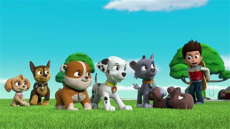 Marshall Gallery Pups Save A Kooky Climber Paw Patrol Wiki Fandom