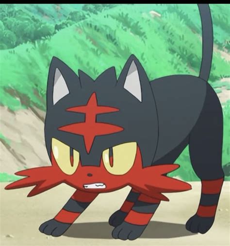 725 Litten Screenshot