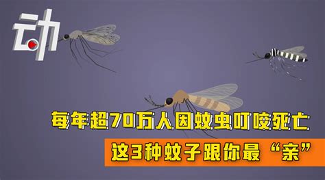 每年约72 5万人因蚊虫叮咬致死：让蚊子灭绝有多难？ 新浪新闻