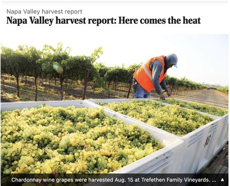 Register’s Napa Valley harvest report #1 | Harvest Napa Valley