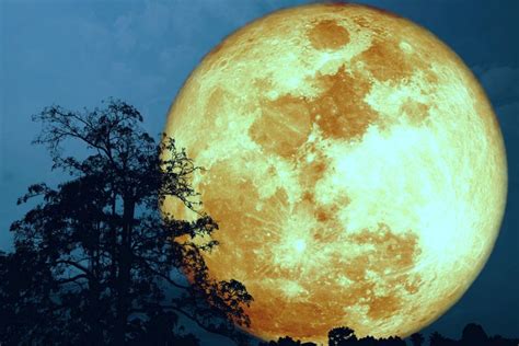 Imperdible Llega la Superluna de Esturión el primer espectáculo