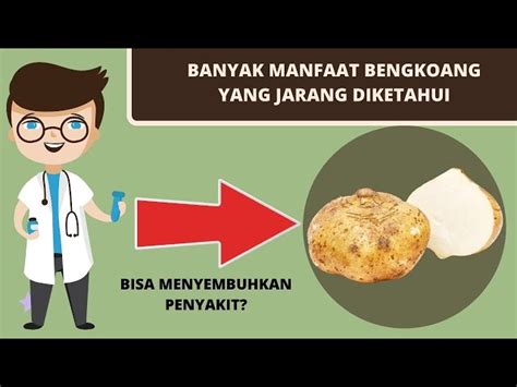 Temukan Manfaat Bengkoang Untuk Lambung Yang Jarang Diketahui Biotifor