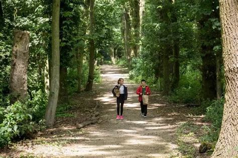 10 Stunning Woodland Walks You Can Visit In A Day From Hull Hull Live