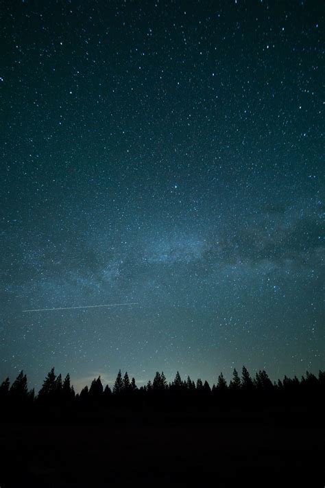 Banco De Imagens árvore Silhueta Céu Noite Estrela Via Láctea Atmosfera Estrela Cadente