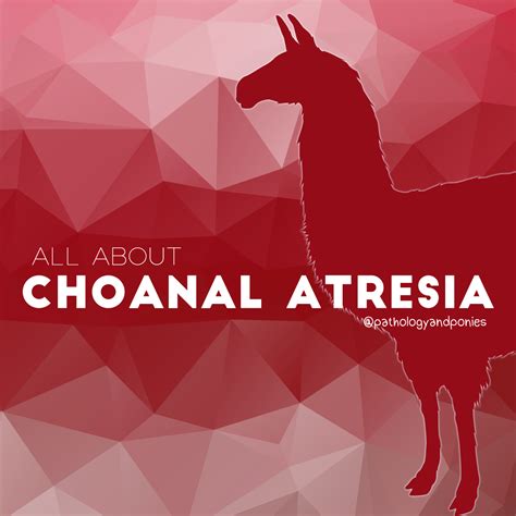 Choanal Atresia - Pathology and Ponies