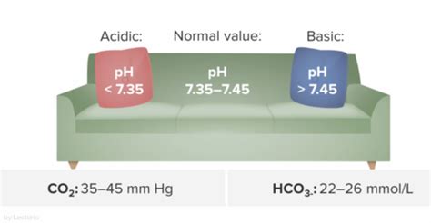 Arterial Blood Gases & Acid-Base Balance Flashcards | Quizlet