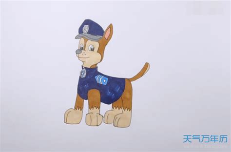 警犬的彩色简笔画 简笔画图片大全 普车都