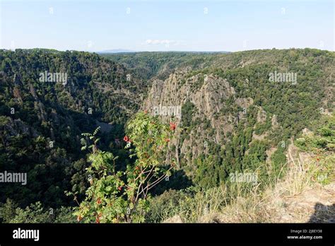 Teufelsmauer In Obscurum Thale Harz Stock Photo Alamy