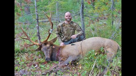 2014 Roosevelt Elk Hunt YouTube