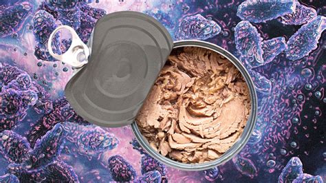 Canned tuna recall 2025: See the full list of brands, products, and ...