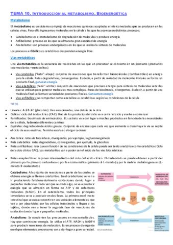 Tema 4 Bioquimica Pdf