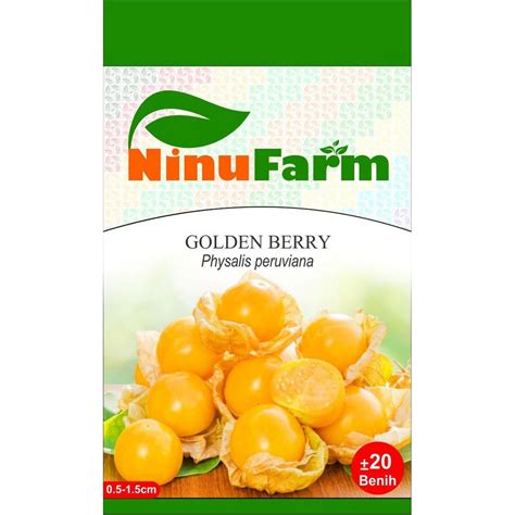 Jual Benih Bibit Buah Ciplukan Kuning Golden Berry Ninufarm 20 Butir