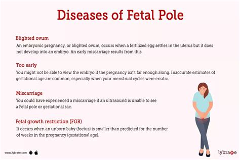 Fetal Pole (Human Anatomy): Image, Functions, Diseases and Treatments