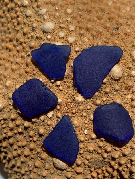 Cobalt Blue Sea Glass Authentic Beach Glass Real Tumbled Etsy