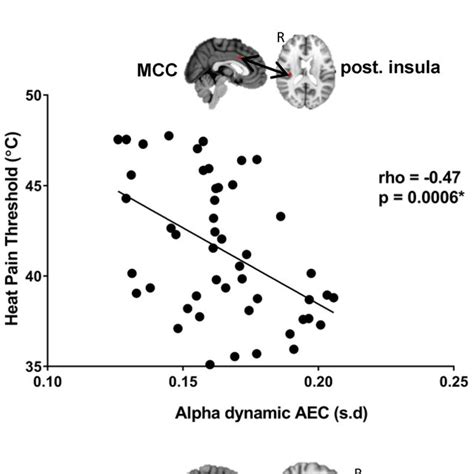 Examples Of Sex Differences In Static And Dynamic Amplitude Coupling Download Scientific