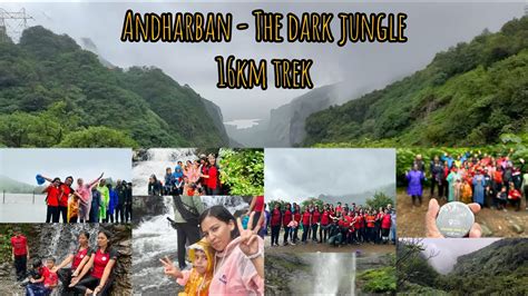 Andharban The Dark Jungle Andharban Maharashtra S Dark