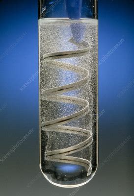 Magnesium Ribbon Reacting With Acid Stock Image A500 0211 Science