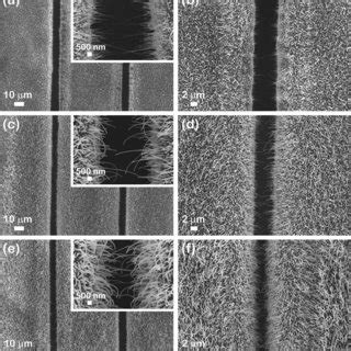 FESEM Images At Different Magnifications Of A B Inset CuO MIE C D