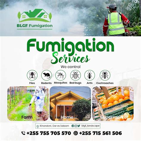 Pest fumigation near me - Fumigation Services