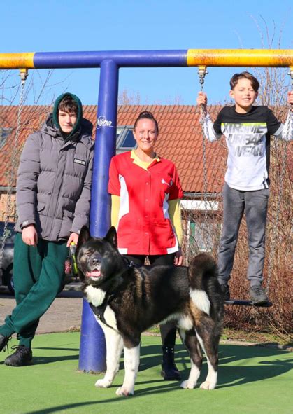 De Zorgcirkel Verzorgende Ig Flex Nieuw Volendam