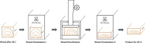 Schematic procedure detailing the manufacturing process of the ...