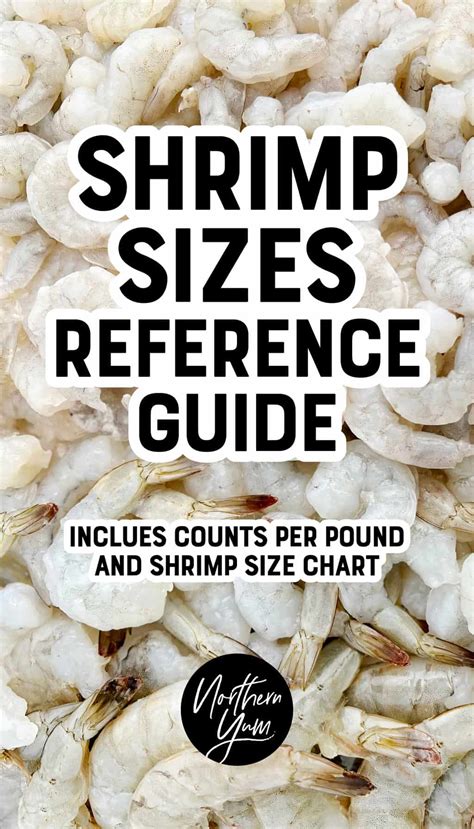 Shrimp Sizes and Counts per Pound (w/Shrimp Size Chart!)