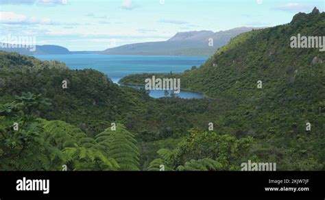 Bay of plenty volcano Stock Videos & Footage - HD and 4K Video Clips ...