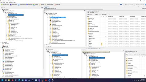 Issue With Graphical Anomaly In Windows Autopsy Help Autopsy And