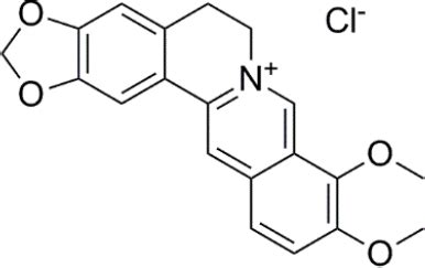 Structure of Berberine Hydrochloride. | Download Scientific Diagram