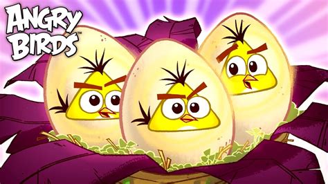 Angry Birds Every Egg Ever Youtube