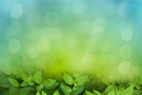 Natural Green Bokeh Background 11043201 Stock Photo At Vecteezy