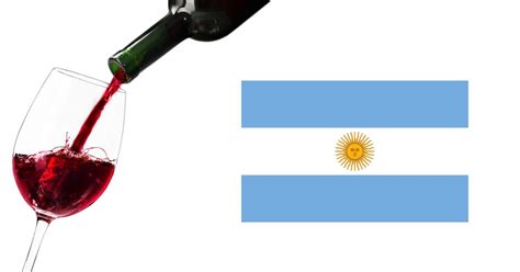 What Type Of Wine Is Argentina Most Famous For | Savor the Flavor