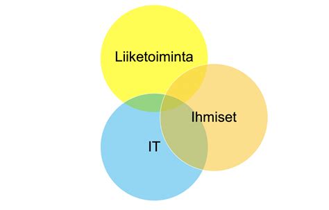 Liiketoiminnan kehittäminen ja kerrosnäkymä Kokonaisvaltainen