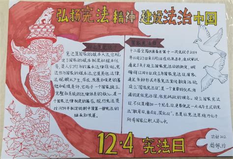 高分子学院开展以“学习宪法知识，弘扬法治精神”为主题的系列活动 青岛科技大学团委