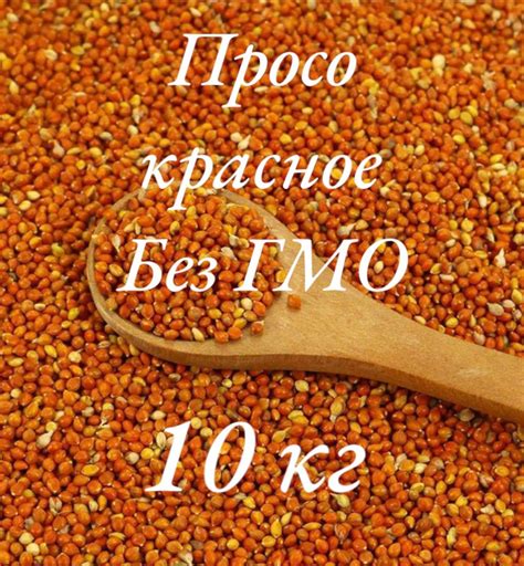 Просо красное - купить с доставкой по выгодным ценам в интернет ...