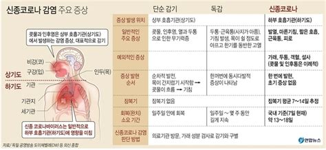 블라인드 코로나 바이러스 코로나19 독감 일반감기 차이