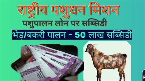 NLM project बकर पलन पर 50 लख सबसड NLM GOAT FARMING PROJECT