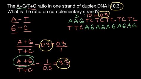 Examples of application of Chargaff’s rule - YouTube