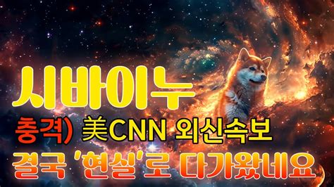 시바이누 코인 美cnn 외신속보 결국현실로 다가 왔습니다 시바이누 시바이누코인 시바이누코인전망