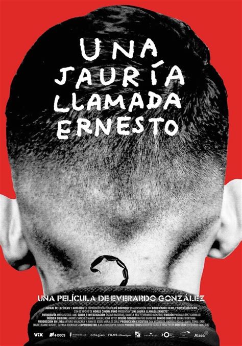 “una Jauría Llamada Ernesto” Un Documental Sobre Niños Sicarios Proceso