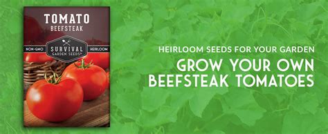Amazon.com : Survival Garden Seeds - Beefsteak Tomato Seed for Planting ...