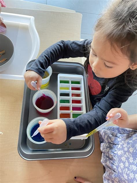 Curriculum | Active Explorers