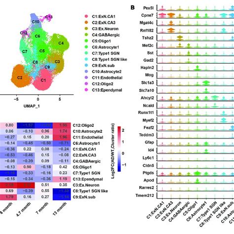 A Cell Atlas Of Hippocampal Cells In Xfad Ad Mice And Wt Mice A