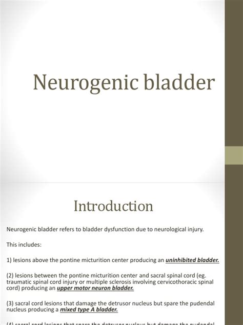 Neuro Urology Ppt Pdf Urinary Incontinence Urination