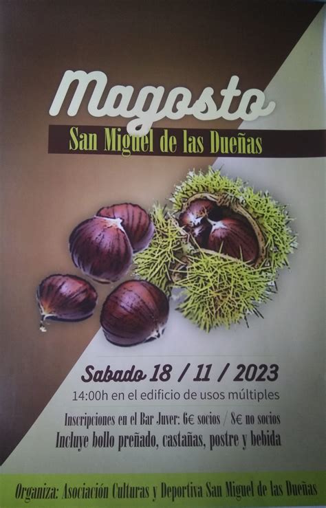 La Magia De Los Magostos En El Oto O Del Bierzo Nos Gusta Le N