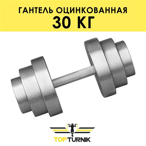 Гантели Topturnik металлическая разборная (наборная) оцинкованная, 1 шт ...