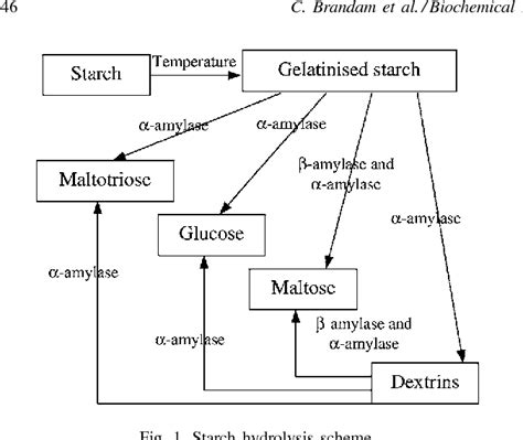 Table From An Original Kinetic Model For The Enzymatic Hydrolysis Of