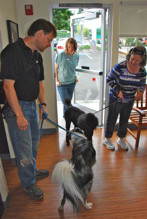 lien animal clinic 1